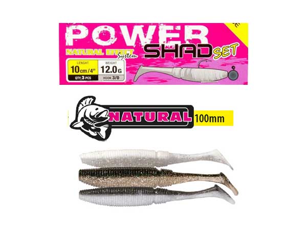 Power Shad Set 10 cm 12 gr Nat